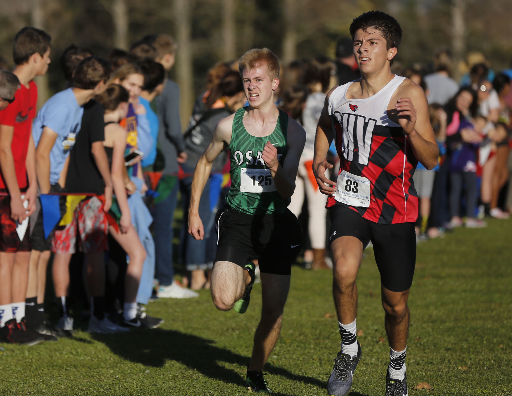 State XC Qualifying Meet 20